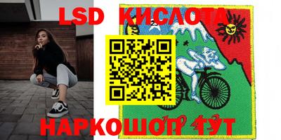 spice Свободный